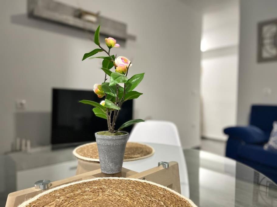 Apartamentos Rincon Andaluz 3 Cordoba Dış mekan fotoğraf
